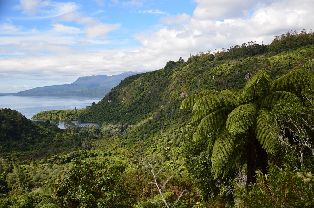2017-03 New Zealand/Tarawera/DSC_0475.JPG